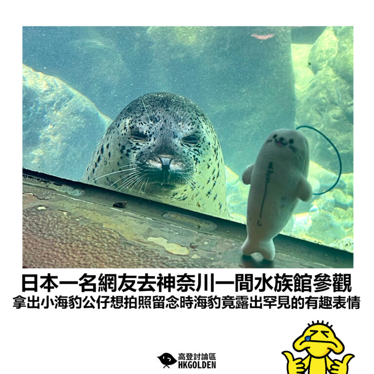 【日本一名網友去神奈川一間水族館參觀 拿出小海豹公仔想拍照留念時海豹竟露出罕見的有趣表情】