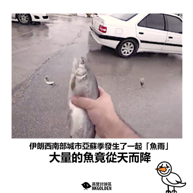 【伊朗西南部城市亞蘇季發生了一起「魚雨」 大量的魚竟從天而降】