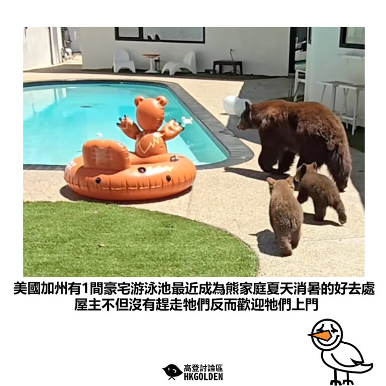 【美國加州有1間豪宅游泳池最近成為熊家庭夏天消暑的好去處 屋主不但沒有趕走牠們反而歡迎牠們上門】