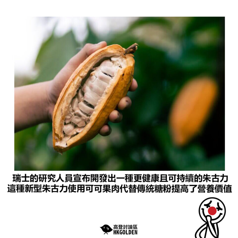 【瑞士的研究人員宣布開發出一種更健康且可持續的朱古力 這種新型朱古力使用可可果肉代替傳統糖粉提高了營養價值】