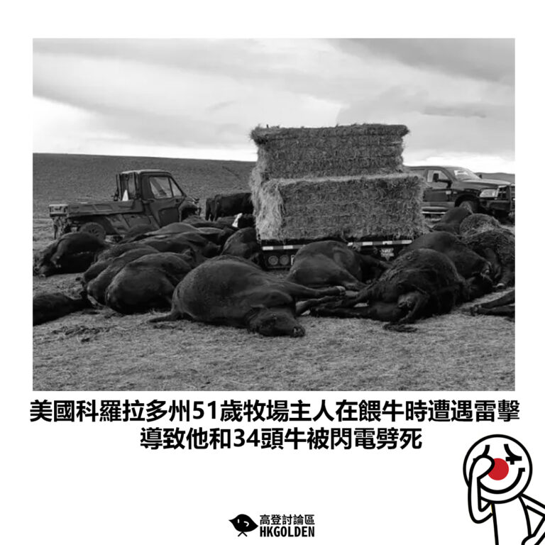 【美國科羅拉多州51歲牧場主人在餵牛時遭遇雷擊 導致他和34頭牛被閃電劈死】