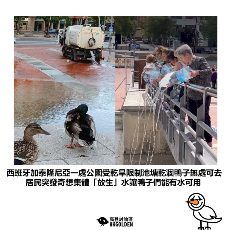 【西班牙加泰隆尼亞一處公園受乾旱限制池塘乾涸鴨子無處可去 居民突發奇想集體「放生」水讓鴨子們能有水可用 】