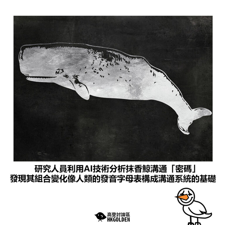 【研究人員利用AI技術分析抹香鯨溝通「密碼」發現其組合變化像人類的發音字母表構成溝通系統的基礎】