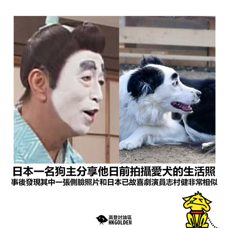 【日本一名狗主分享他日前拍攝愛犬的生活照 事後發現其中一張側臉照片和日本已故喜劇演員志村健非常相似】