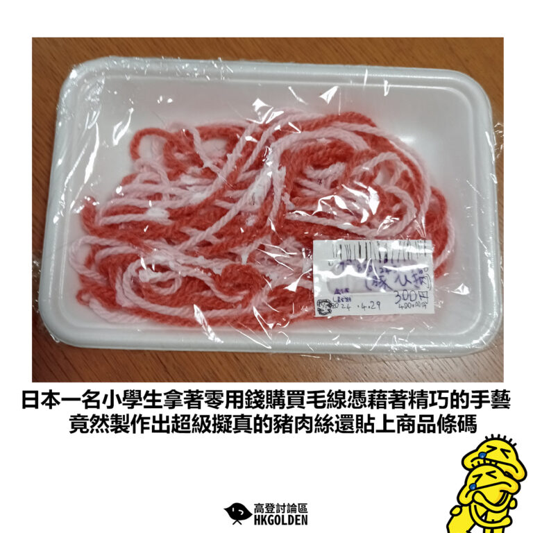 【日本一名小學生拿著零用錢購買毛線憑藉著精巧的手藝 竟然製作出超級擬真的豬肉絲還貼上商品條碼】