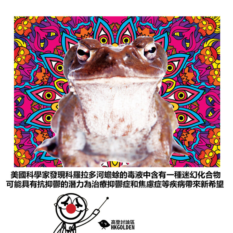 【美國科學家發現科羅拉多河蟾蜍的毒液中含有一種迷幻化合物 可能具有抗抑鬱的潛力為治療抑鬱症和焦慮症等疾病帶來新希望】