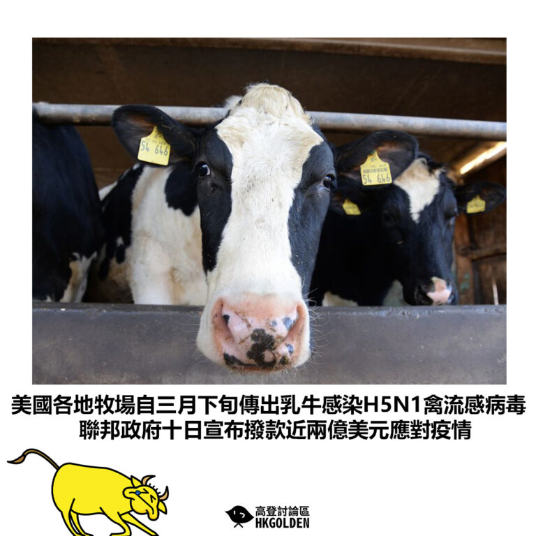 【美國各地牧場自三月下旬傳出乳牛感染H5N1禽流感病毒 聯邦政府十日宣布撥款近兩億美元應對疫情】