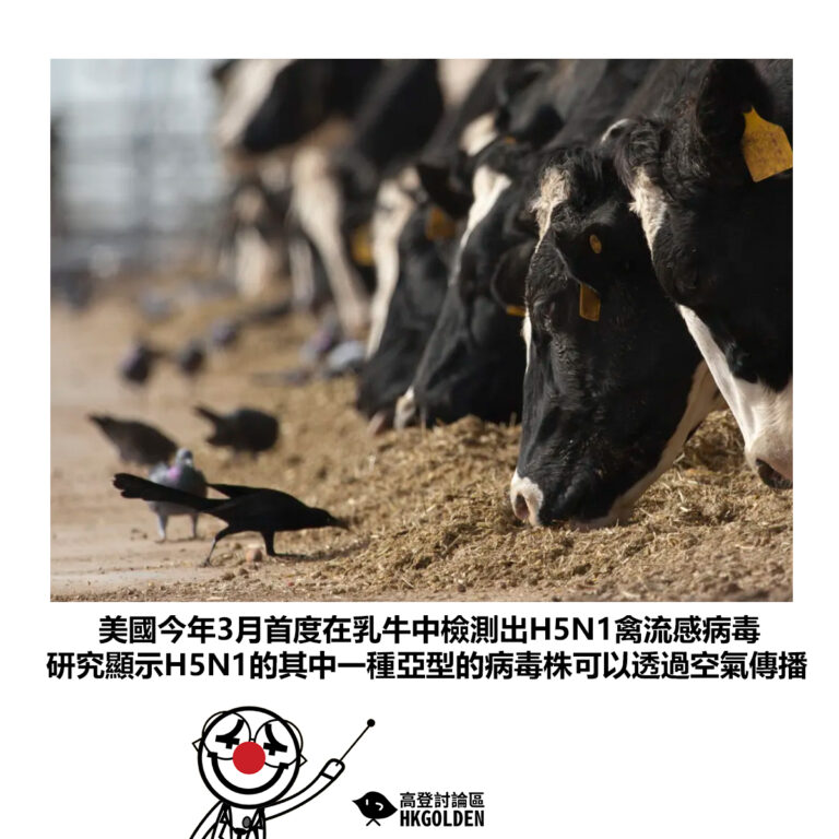 【美國今年3月首度在乳牛中檢測出H5N1禽流感病毒 研究顯示H5N1的其中一種亞型的病毒株可以透過空氣傳播】