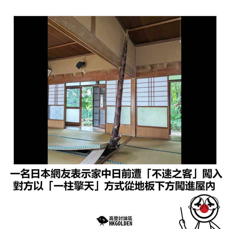 【一名日本網友表示家中日前遭「不速之客」闖入 對方以「一柱擎天」方式從地板下方闖進屋內】