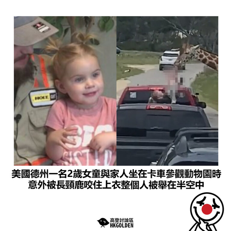 【美國德州一名2歲女童與家人坐在卡車參觀動物園時 意外被長頸鹿咬住上衣整個人被舉在半空中】