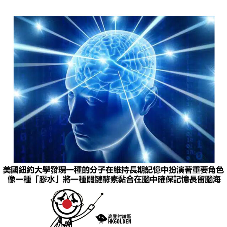 【美國紐約大學發現一種的分子在維持長期記憶中扮演著重要角色像一種「膠水」將一種關鍵酵素黏合在腦中確保記憶長留腦海】