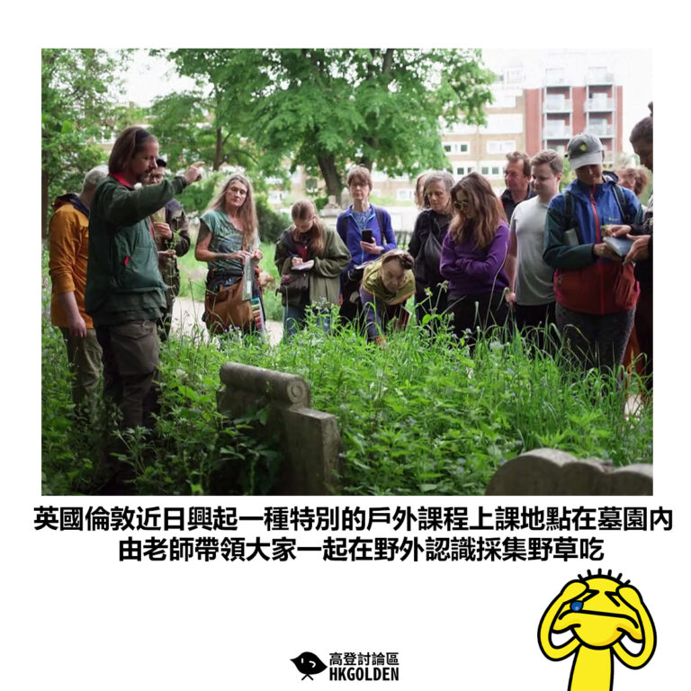 【英國倫敦近日興起一種特別的戶外課程上課地點在墓園內 由老師帶領大家一起在野外認識採集野草吃】