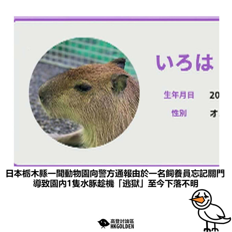 【日本栃木縣一間動物園向警方通報由於一名飼養員忘記關門 導致園內1隻水豚趁機「逃獄」至今下落不明】