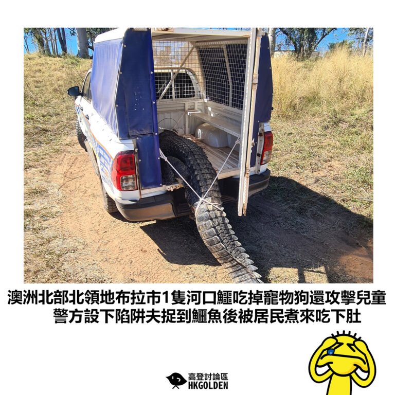 【澳洲北部北領地布拉市1隻河口鱷吃掉寵物狗還攻擊兒童 警方設下陷阱夫到鱷魚後被居民煮來吃下肚】