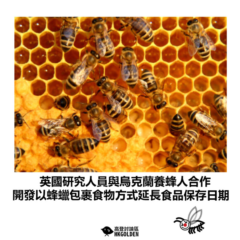 【英國研究人員與烏克蘭養蜂人合作 開發以蜂蠟包裹食物方式延長食品保存日期】
