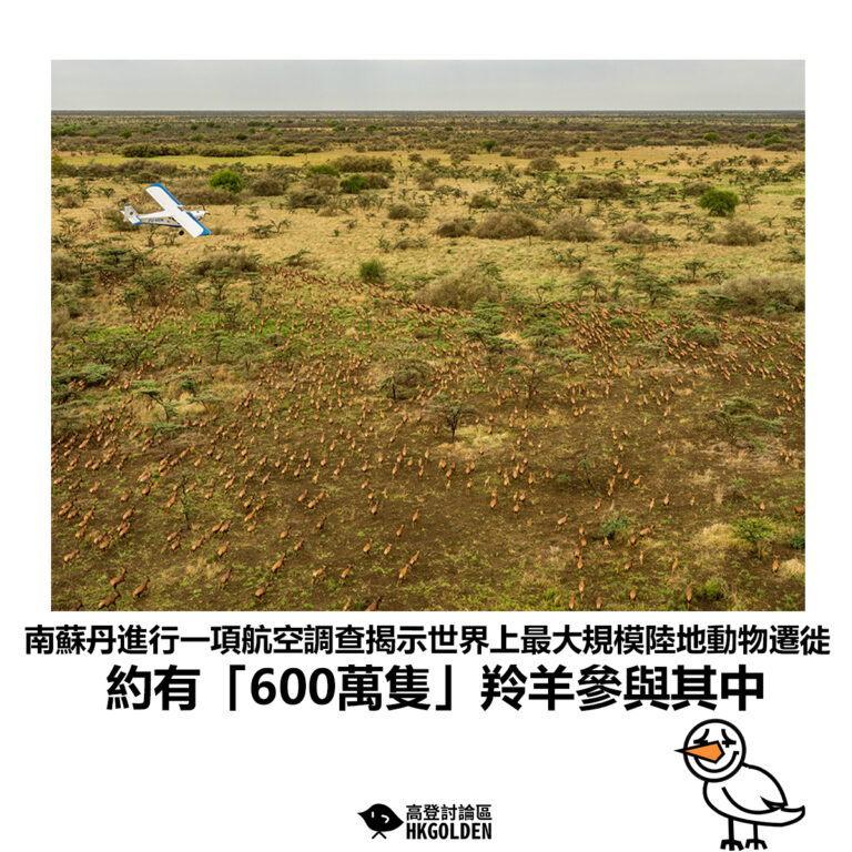 【南蘇丹進行一項航空調查揭示世界上最大規模陸地動物遷徙 約有「600萬隻」羚羊參與其中 】