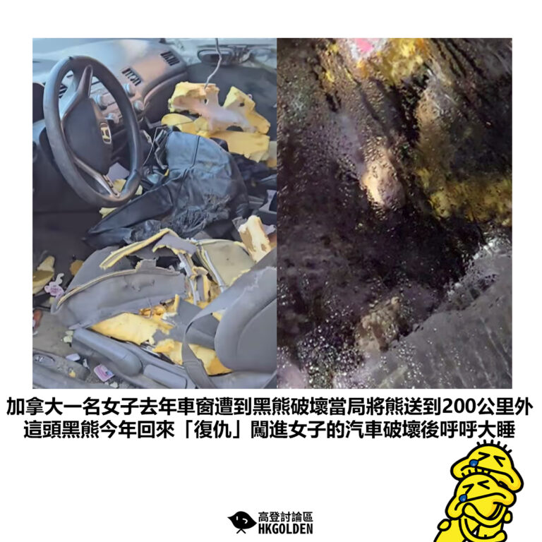 【加拿大一名女子去年車窗遭到黑熊破壞當局將熊送到200公里外這頭黑熊今年回來「復仇」闖進女子的汽車破壞後呼呼大睡】