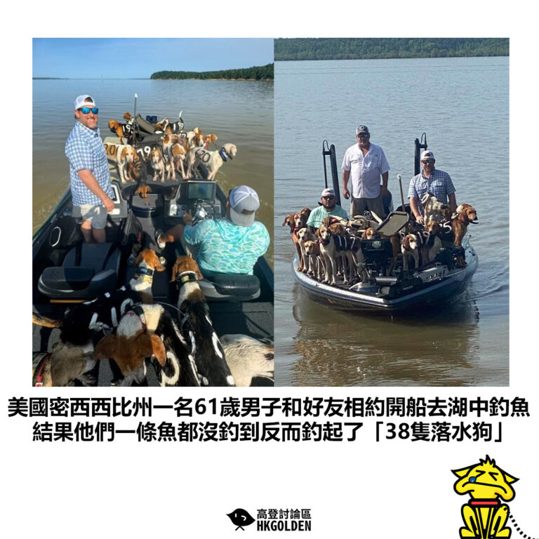 【美國密西西比州一名61歲男子和好友相約開船去湖中釣魚 結果他們一條魚都沒釣到反而釣起了「38隻落水狗」】