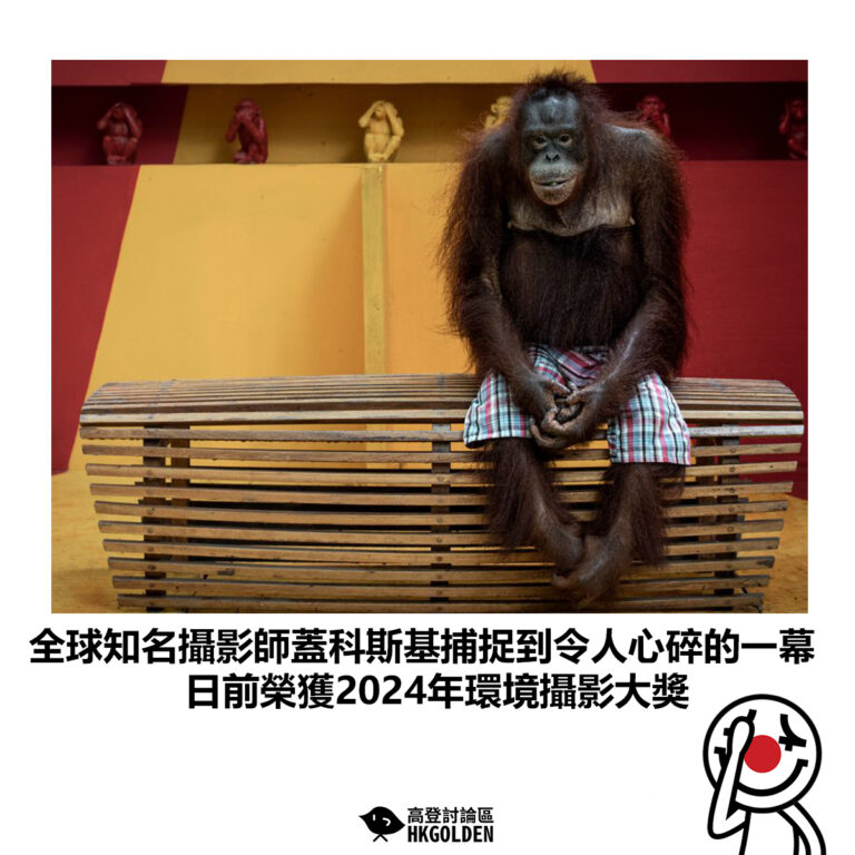 【全球知名攝影師蓋科斯基捕捉到令人心碎的一幕 日前榮獲2024年環境攝影大獎】