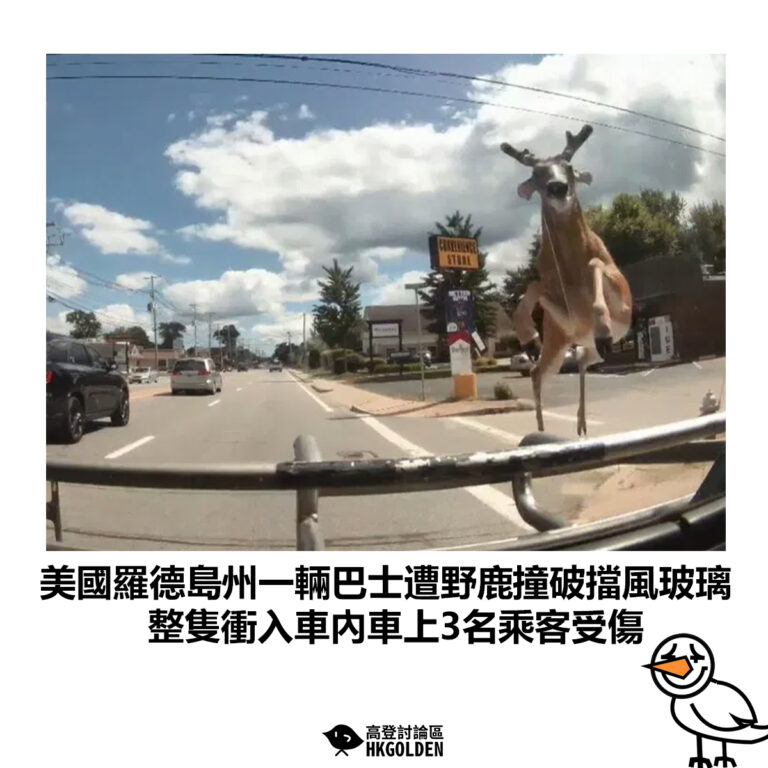 【美國羅德島州一輛巴士遭野鹿撞破擋風玻璃 整隻衝入車內車上3名乘客受傷】