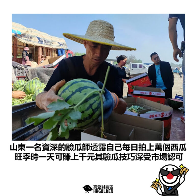 【山東一名資深的驗瓜師透露自己每日拍上萬個西瓜 旺季時一天可賺上千元其驗瓜技巧深受市場認可】