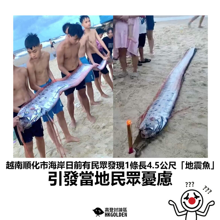 【越南順化市海岸日前有民眾發現1條長4.5公尺「地震魚」引發當地民眾憂慮】