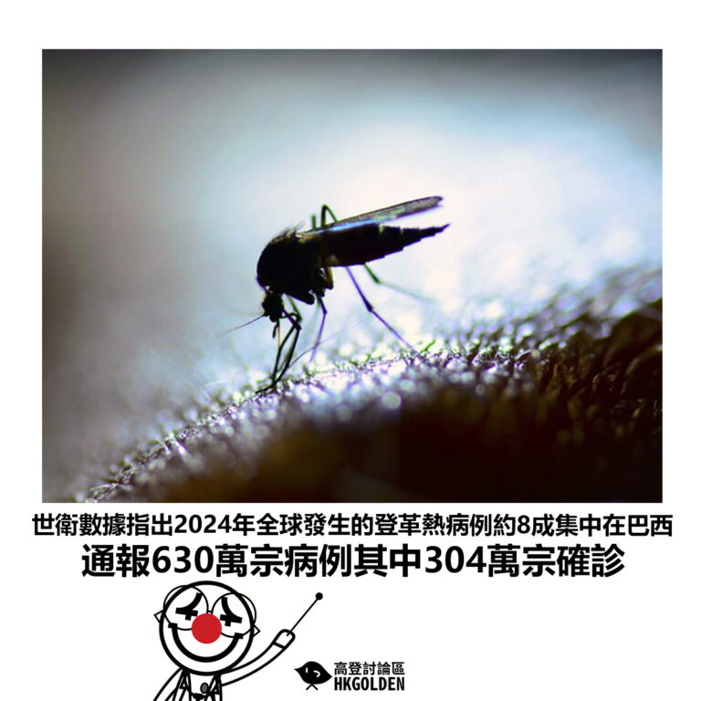 【世衛數據指出2024年全球發生的登革熱病例約8成集中在巴西 通報630萬宗病例其中304萬宗確診】