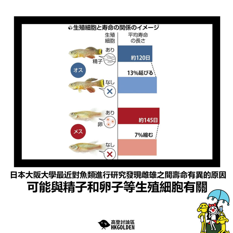 【日本大阪大學最近對魚類進行研究發現雌雄之間壽命有異的原因 可能與精子和卵子等生殖細胞有關】