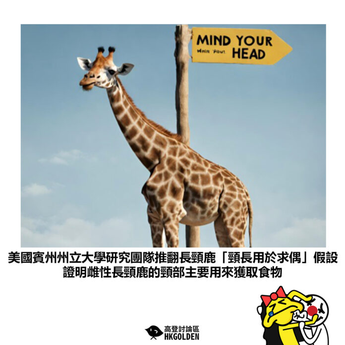 fdhnfdshsd