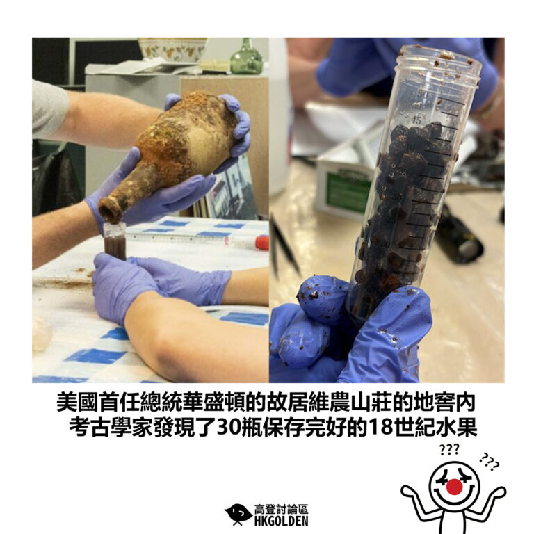 【美國首任總統華盛頓的故居維農山莊的地窖內 考古學家發現了30瓶保存完好的18世紀水果】