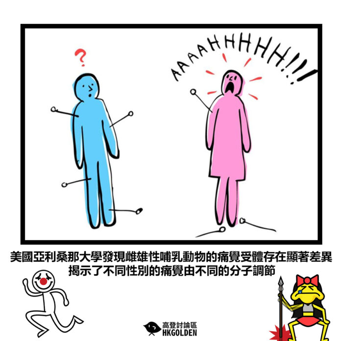 fdrhsdhsdh