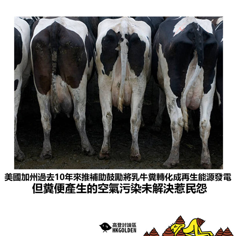 【美國加州過去10年來推補助鼓勵將乳牛糞轉化成再生能源發電但糞便產生的空氣污染未解決惹民怨】