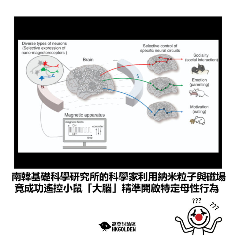【南韓基礎科學研究所的科學家利用納米粒子與磁場 竟成功遙控小鼠「大腦」精準開啟特定母性行為】