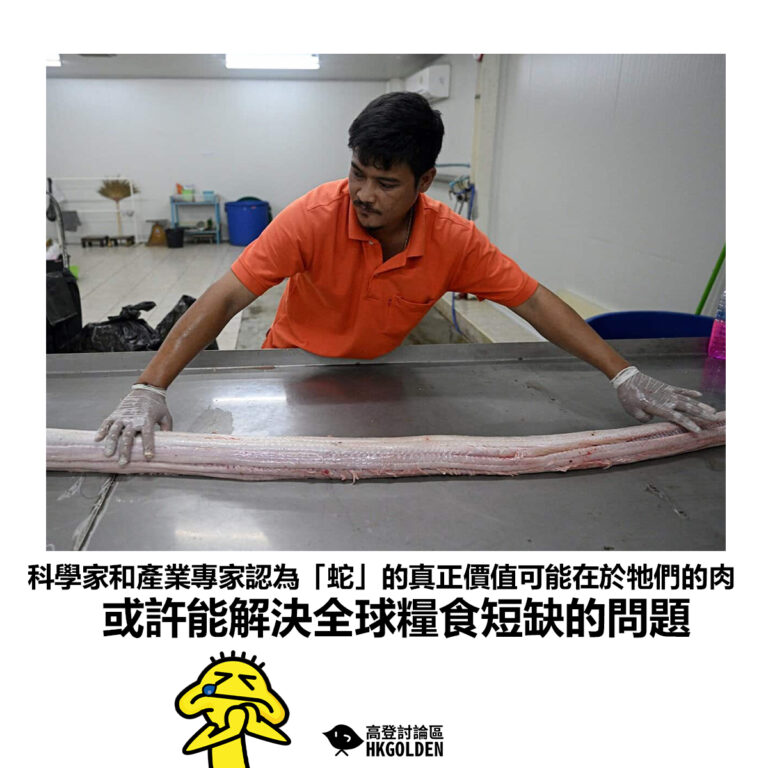 【科學家和產業專家認為「蛇」的真正價值可能在於牠們的肉 或許能解決全球糧食短缺的問題】
