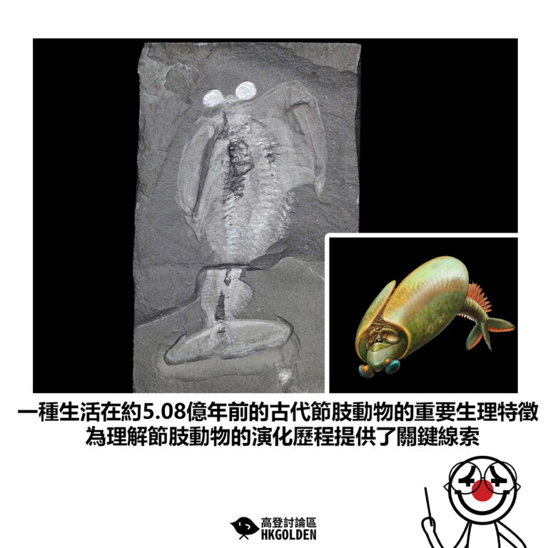 【一種生活在約5.08億年前的古代節肢動物的重要生理特徵 為理解節肢動物的演化歷程提供了關鍵線索 】