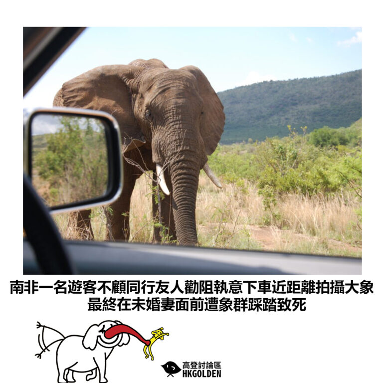 【南非一名遊客不顧同行友人勸阻執意下車近距離拍攝大象 最終在未婚妻面前遭象群踩踏致死】