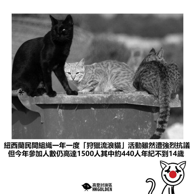 【紐西蘭民間組織一年一度「狩獵流浪貓」活動雖然遭強烈抗議 但今年參加人數仍高達1500人其中約440人年紀不到14歲】