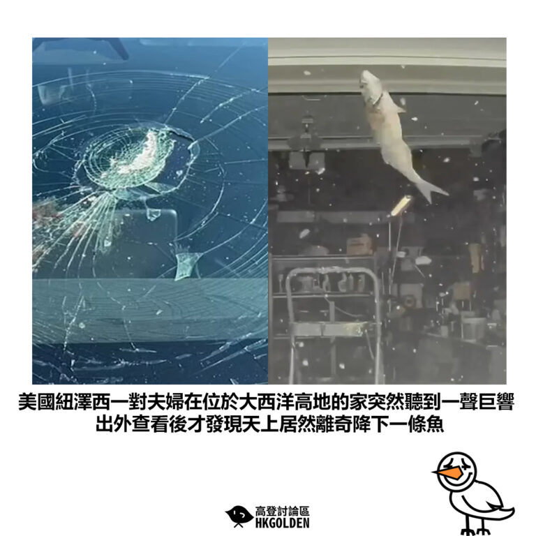 【美國紐澤西一對夫婦在位於大西洋高地的家突然聽到一聲巨響 出外查看後才發現天上居然離奇降下一條魚】