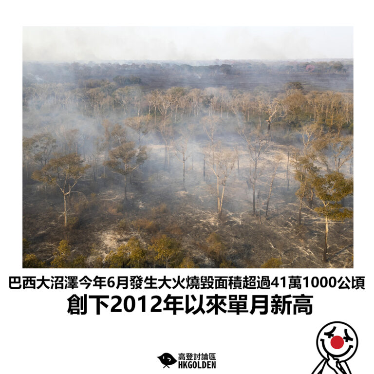 【巴西大沼澤今年6月發生大火燒毀面積超過41萬1000公頃 創下2012年以來單月新高】