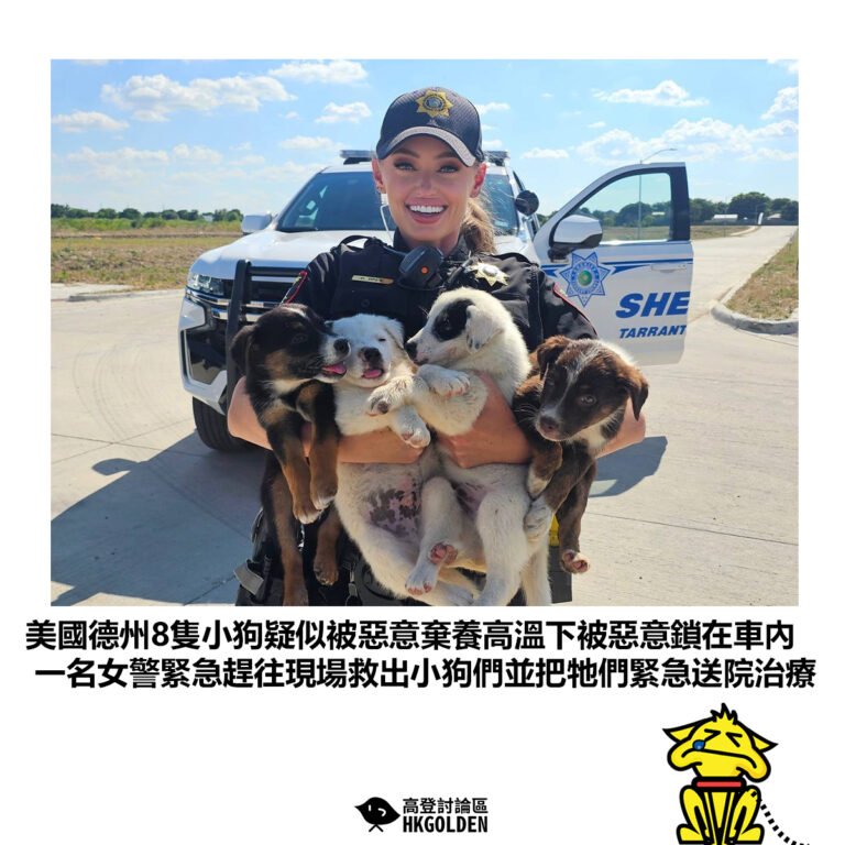 【美國德州8隻小狗狗疑似被惡意棄養高溫下被惡意鎖在車內 一名女警緊急趕往現場救出小狗們並把牠們緊急送院治療】