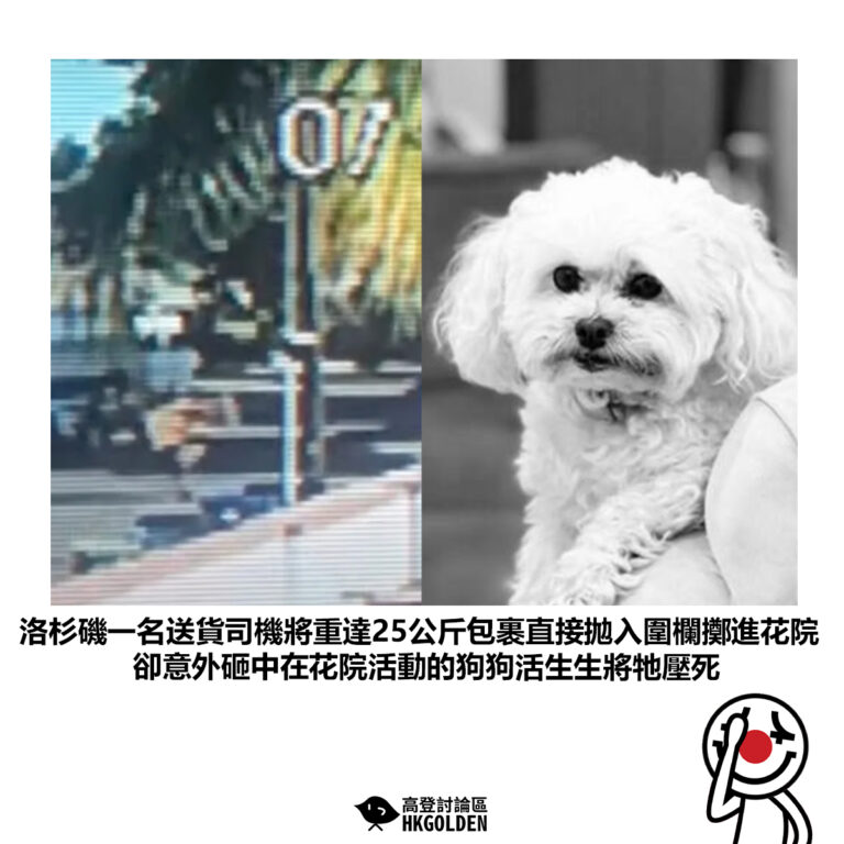 【洛杉磯一名送貨司機將重達25公斤包裹直接拋入圍欄擲進花院卻意外砸中在花院活動的狗狗活生生將牠壓死】