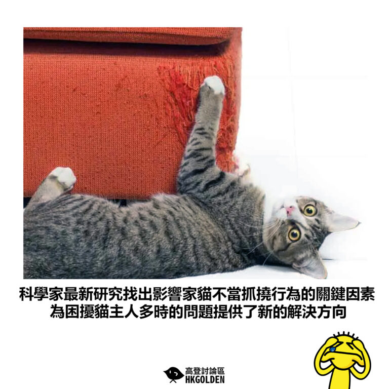 【科學家最新研究找出影響家貓不當抓撓行為的關鍵因素 為困擾貓主人多時的問題提供了新的解決方向 】