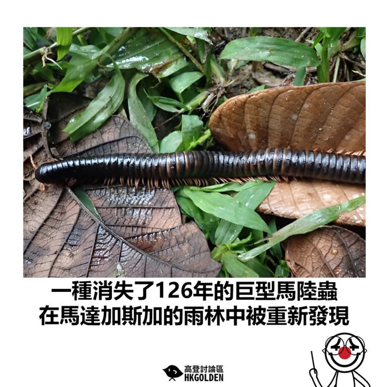 【一種消失了126年的巨型馬陸蟲 在馬達加斯加的雨林中被重新發現】