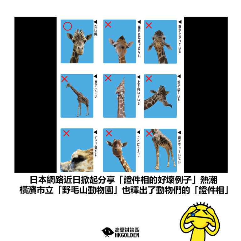 【日本網路近日掀起分享「證件相的好壞例子」熱潮 橫濱市立「野毛山動物園­」也釋出了動物們的「證件相」】