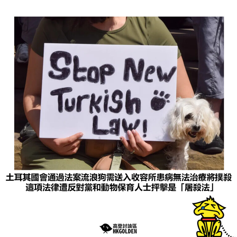 【土耳其國會通過法案流浪狗需送入收容所患病無法治療將撲殺 這項法律遭反對黨和動物保育人士抨擊是「屠殺法」】