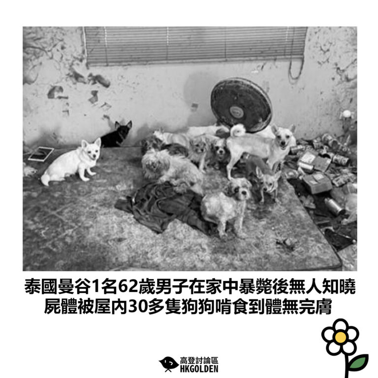 【泰國曼谷1名62歲男子在家中暴斃後無人知曉 屍體被屋內30多隻狗狗啃食到體無完膚】