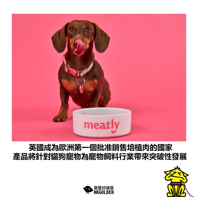 【英國成為歐洲第一個批准銷售培植肉的國家 產品將針對貓狗寵物為寵物飼料行業帶來突破性發展】