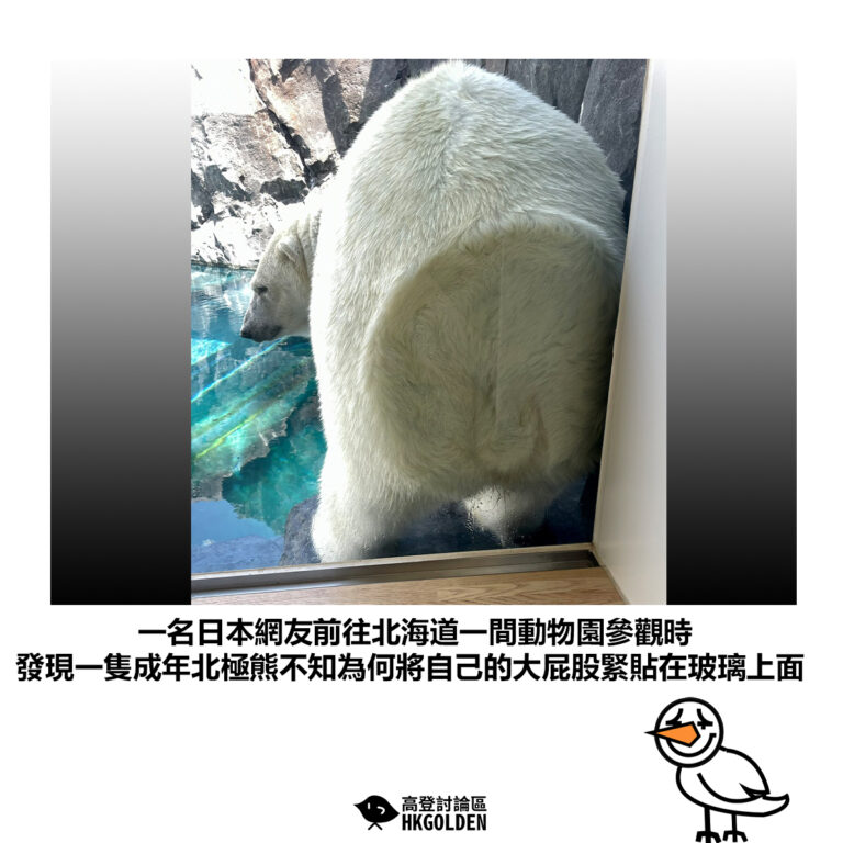【一名日本網友前往北海道一間動物園參觀時 發現一隻成年北極熊不知為何將自己的大屁股緊貼在玻璃上面】
