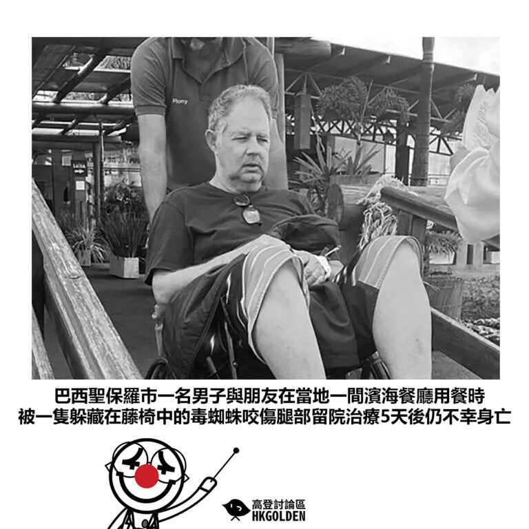 【巴西聖保羅市一名男子與朋友在當地一間餐廳用餐時 被一隻躲藏在藤椅中的毒蜘蛛咬傷腿部留院治療5天後仍不幸身亡】