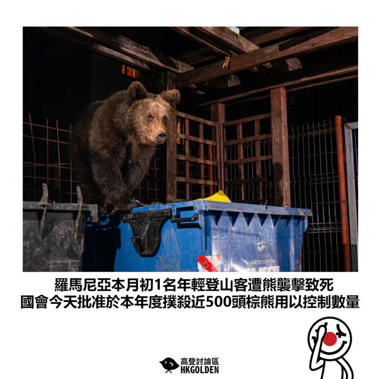 【羅馬尼亞本月初1名年輕登山客遭熊襲擊致死 國會今天批准於本年度撲殺近500頭棕熊用以控制數量】